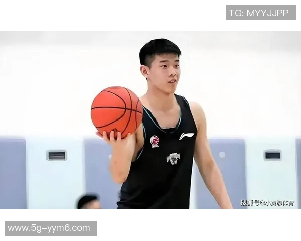 媒体人分析林葳与马健的相似之处及其成就对比引发热议