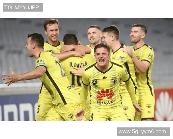 巴西足球盛事帕尔梅拉斯与弗拉门戈争夺南美解放者杯冠军 巴西足球盛事帕尔梅拉斯与弗拉门戈争夺南美解放者杯冠军